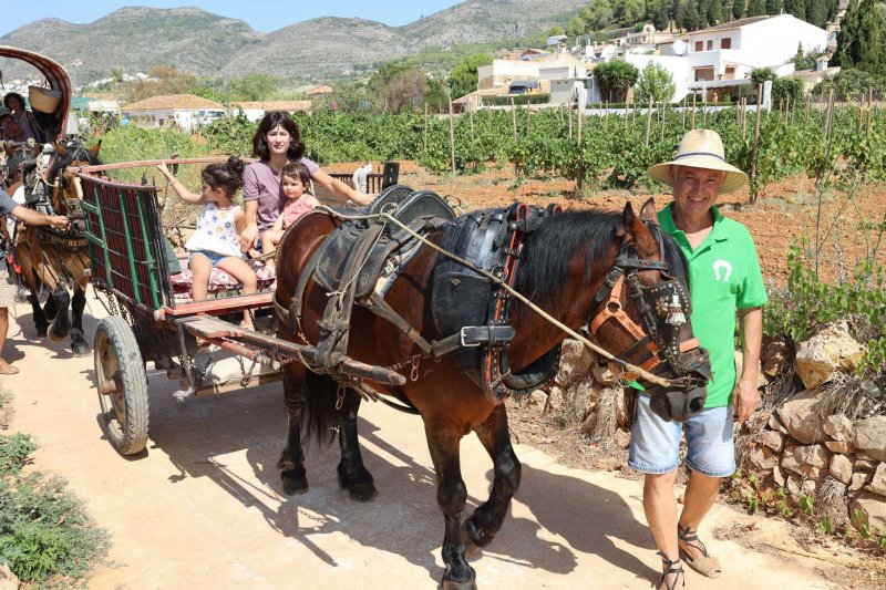 La presentació i l’entrada de la murta aporten l’ambient a l’arranc de les festes de Llíber La presentació i l’entrada de la murta aporten l’ambient a l’arranc de les festes de Llíber